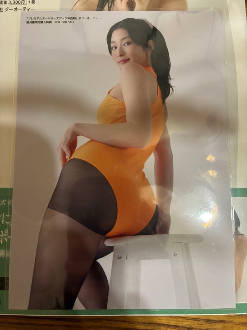 【シュリンク・帯・限定生写真あり】プレミアムヌードポーズブック 本庄鈴　駿河屋
