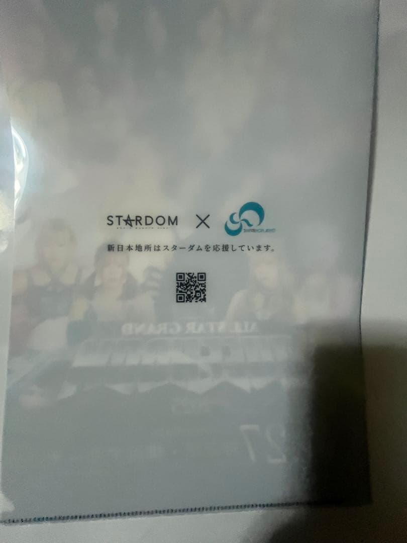 スターダム2025 4/27横浜アリーナ大会 上谷沙也、中野たむカードほか