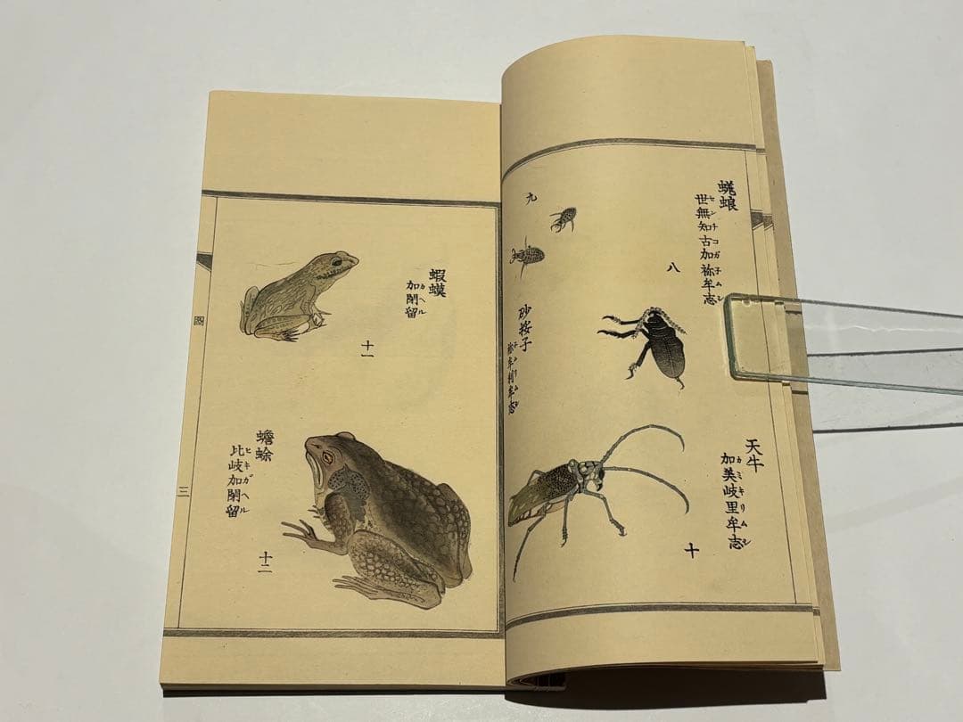 「百虫詩画 名蠕蠕集」山本復一著 山田茂助刊 明治39年刊 揃2冊|和本