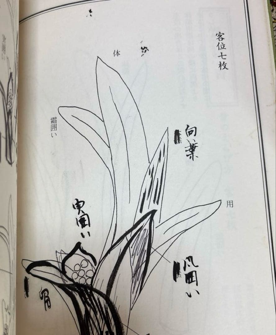 未生流　葉物葉組図解