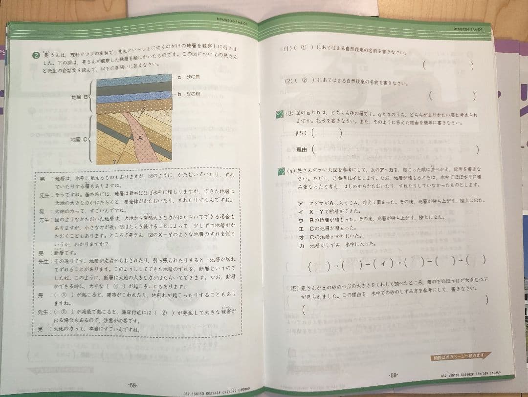 Z会 小6 エブリスタディ 1年分 4教科