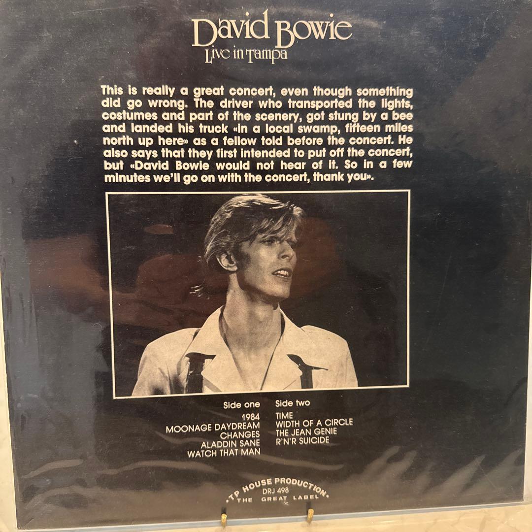 激レア！David Bowie Live in Tampa レコード