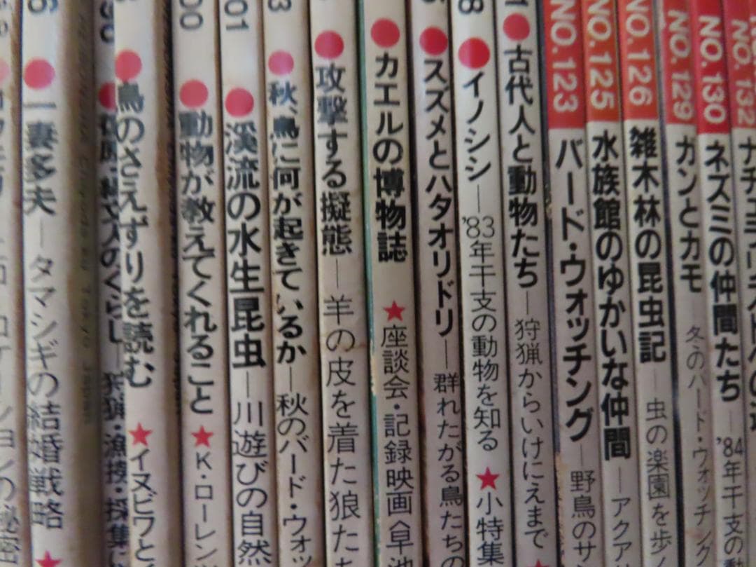 アニマANIMA野性からの声50号から169号までの77冊平凡社伝説の自然情報誌