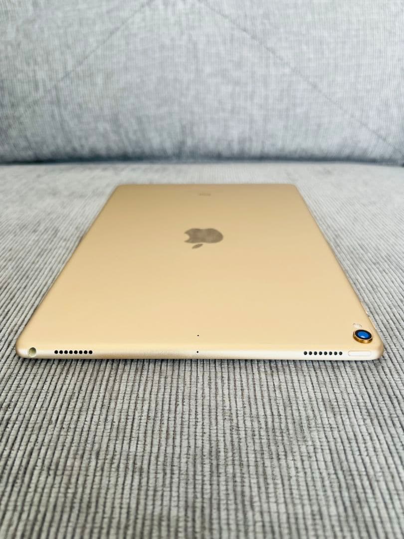 iPad Pro 10.5inch256GBWi-Fi➕Apple pencil