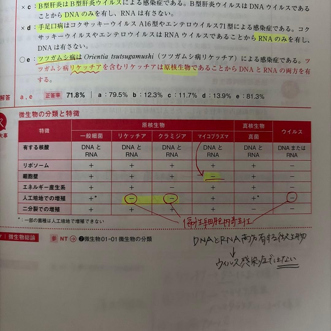 実践 2026 全13巻セット