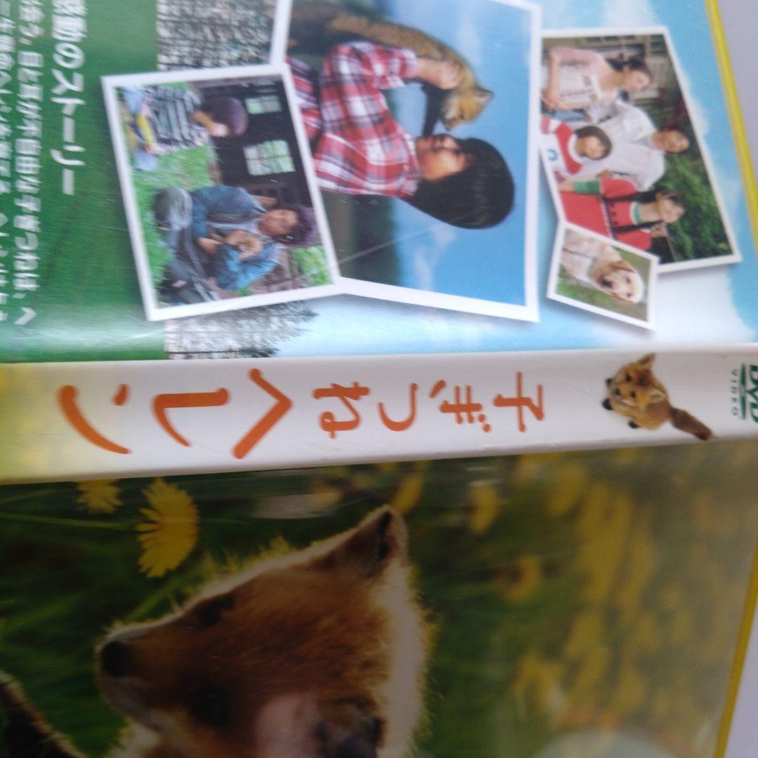 子ぎつねヘレン dvd 大沢たかお　松雪泰子