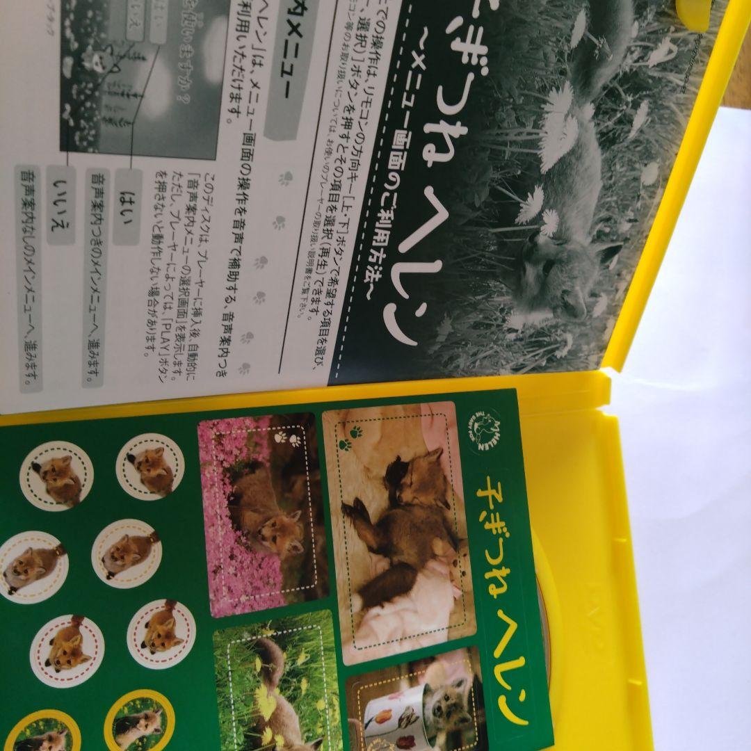 子ぎつねヘレン dvd 大沢たかお　松雪泰子