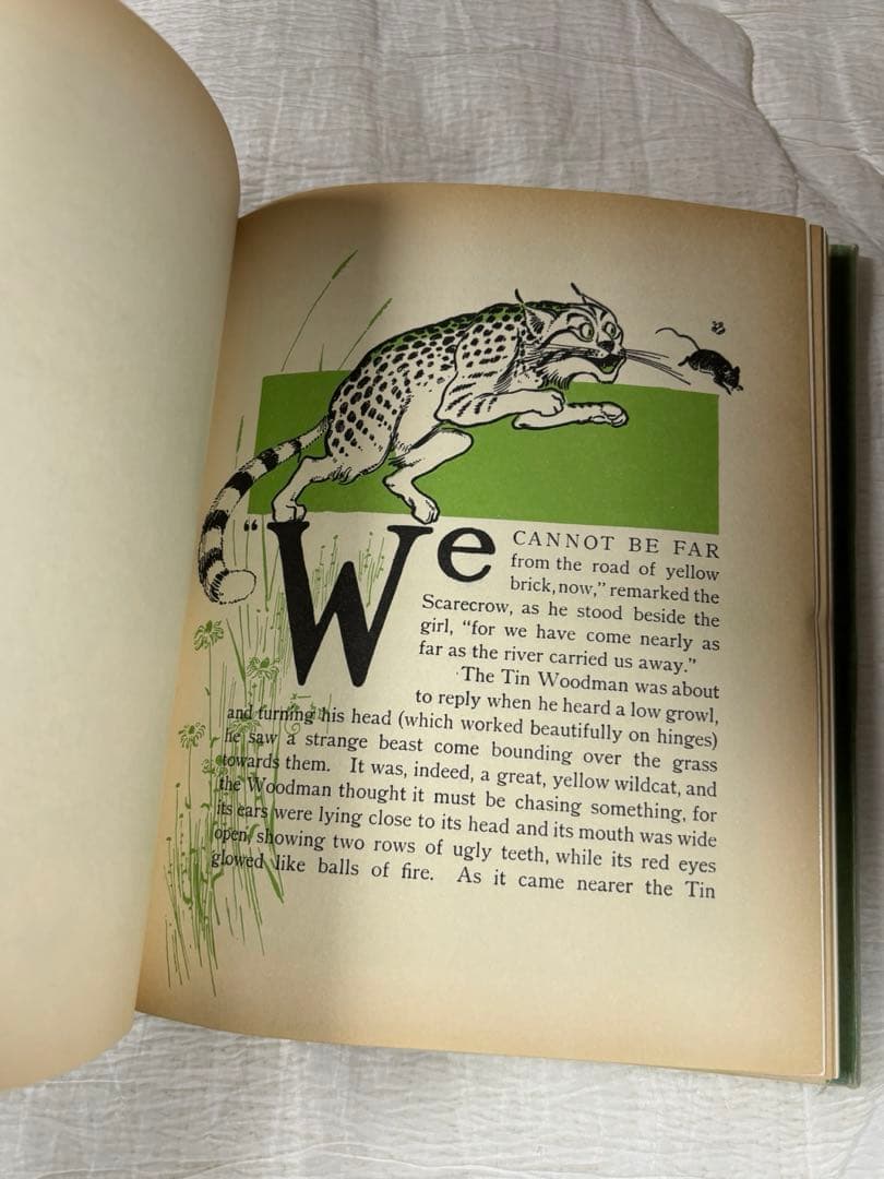 The Wonderful Wizard of Oz オズの魔法使い　洋書