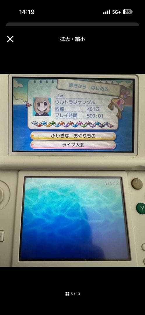 【専用】ひろみち様ポケットモンスター ウルトラサンニンテンドー3DS