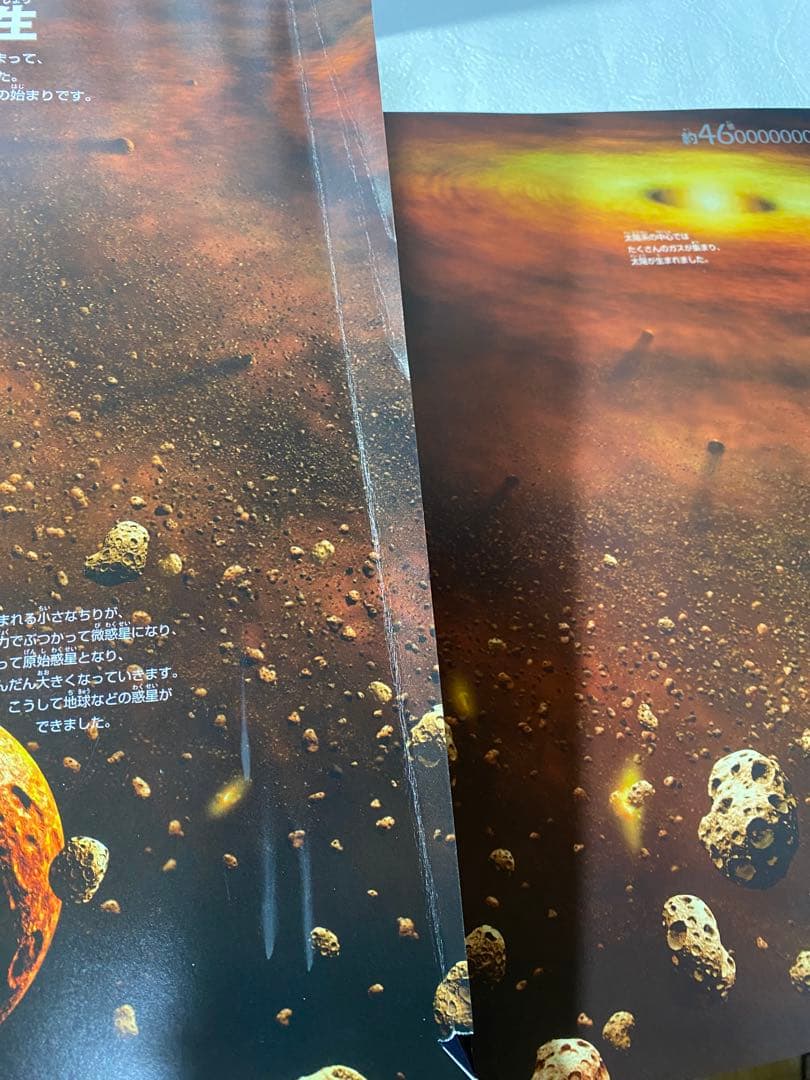 小学館の図鑑NEOシリーズ 10冊+NEOプラス1冊　計11冊セット