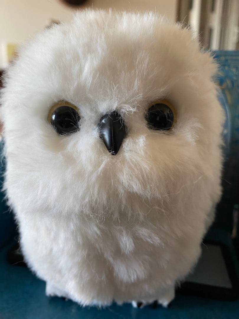 ヘドウィグ　鳴く・動くぬいぐるみ 本体(ハリーポッター)