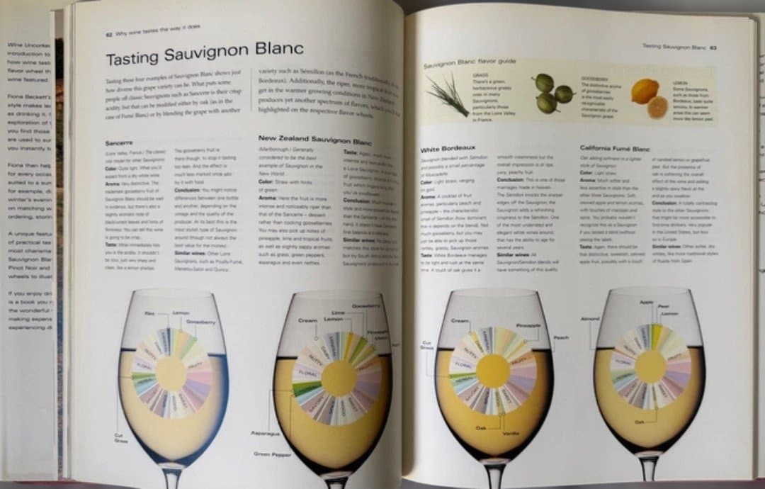 洋書 Wine Uncorked by Fiona Beckett