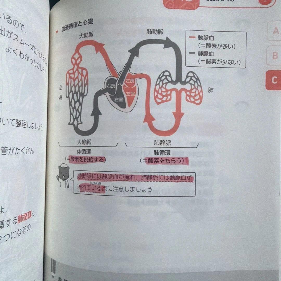 【10冊セット】看護師・看護学生のためのなぜ?どうして?１〜１０《第７版》