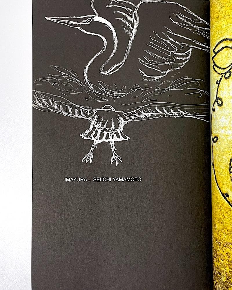 絶版 初版本 山本精一 イマユラ ボアダムス ele-king books
