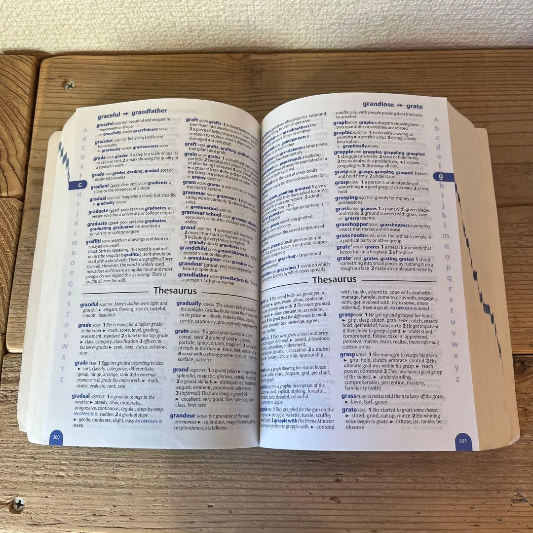 Oxford School Dictionary & Thesaurus英英辞書