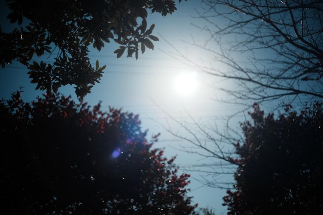 【ライカ】動作◎ Minolta M-ROKKOR 40mm F2 828
