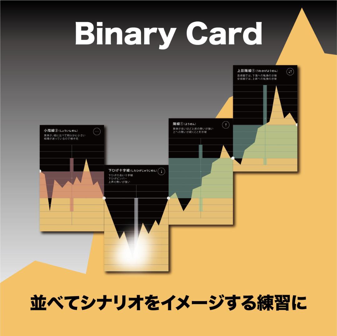 講座用｜10点まとめ｜バイナリーカード｜教材｜新品未使用｜学習教材｜ハイロー