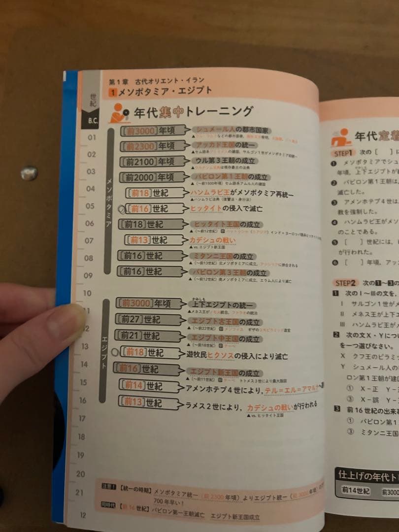 バラ売り可 チャート セミナー 基礎問 ナビゲーター世界史 ポラリス 早稲田赤本