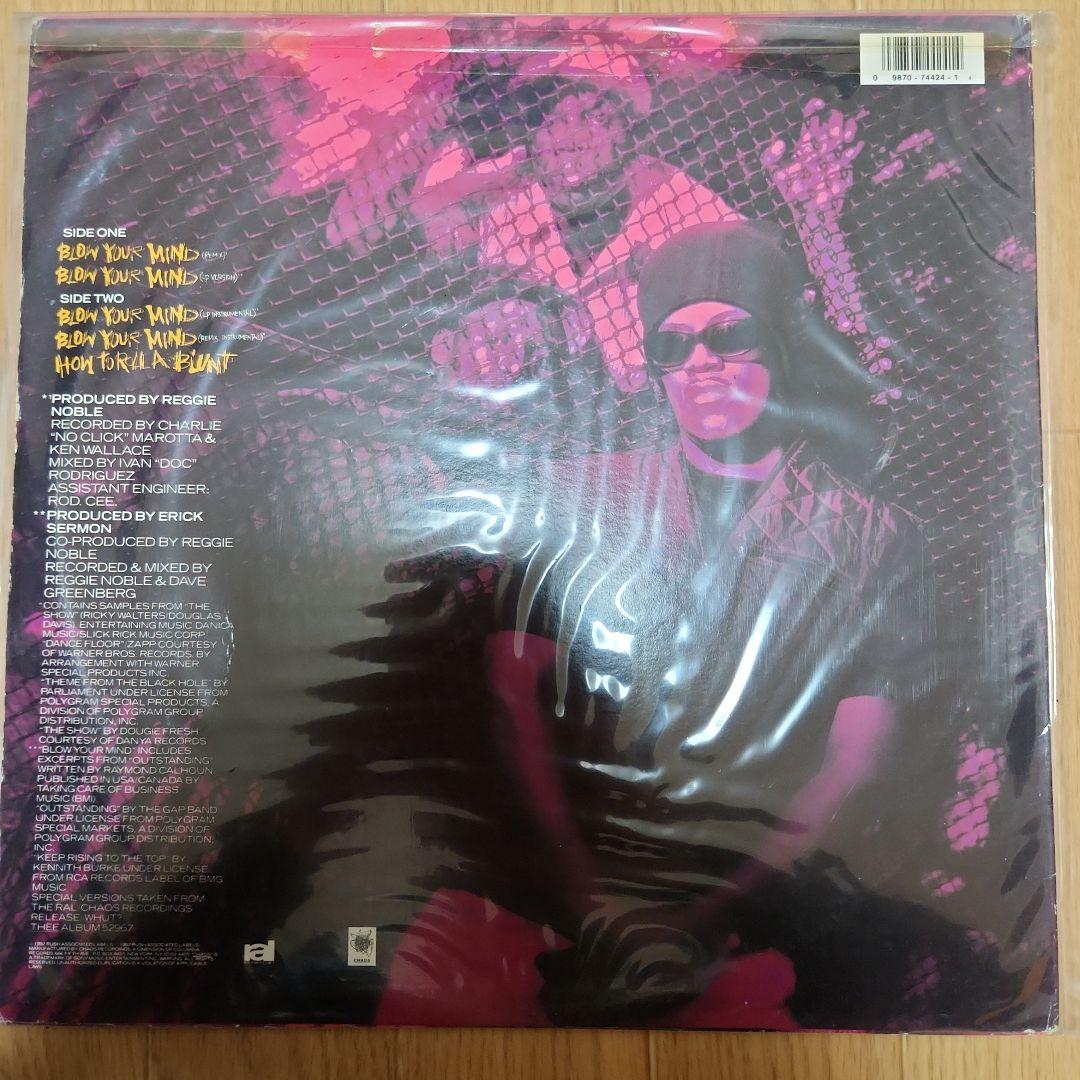 REDMAN BLOW YOUR MIND USオリジナルジャケ付き