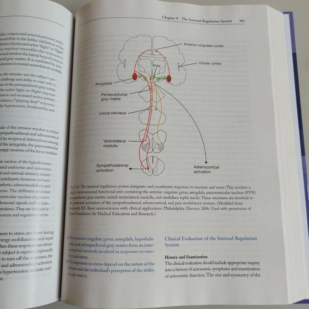MayoClinic　Medical Neurosciences メイヨークリニ