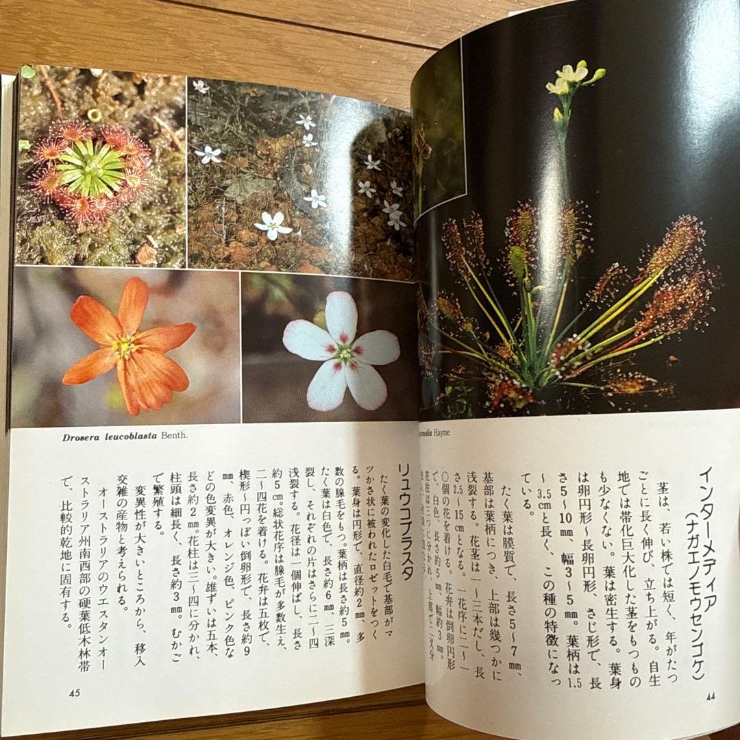初版 食虫植物図鑑 : カラー版