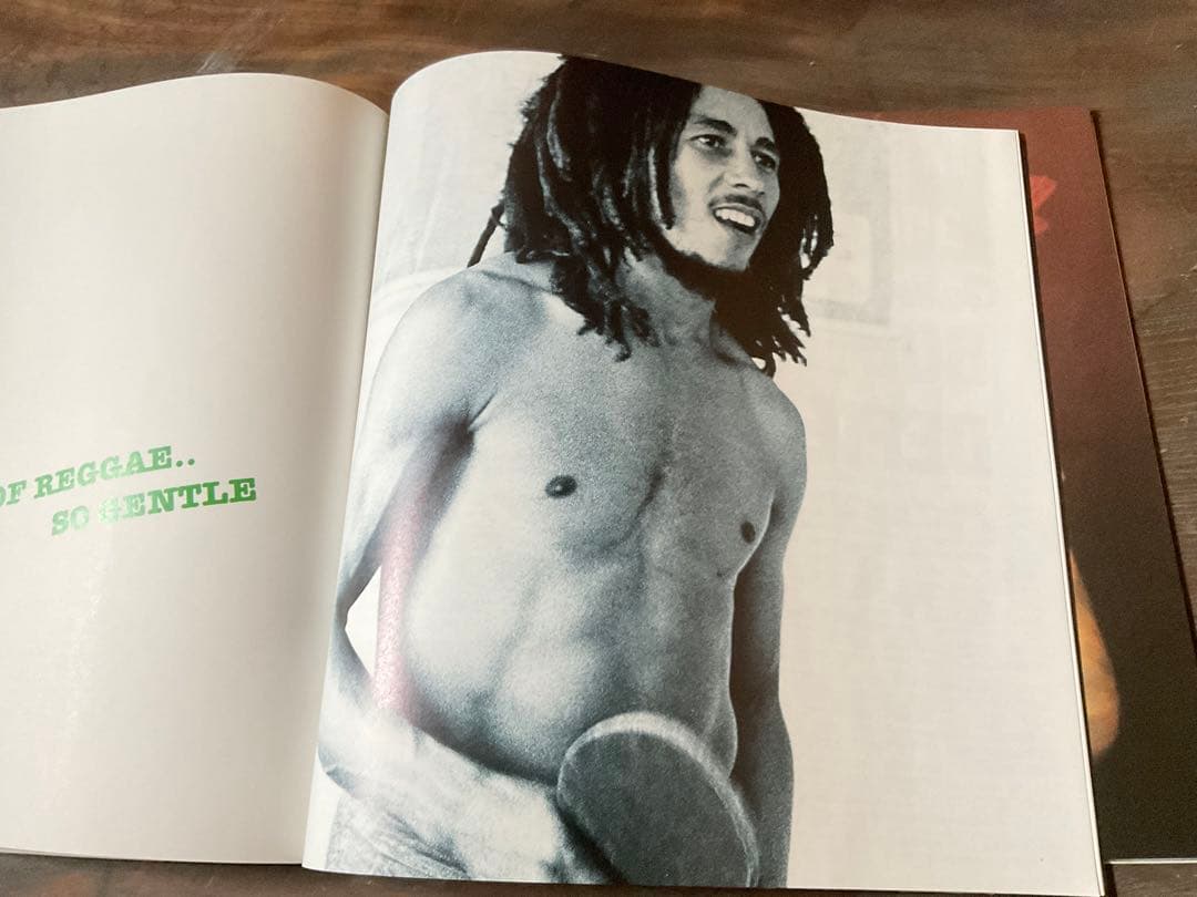 BOB・MARLEY REBEL WITH A CAUSE。【ボブ・マーリー】