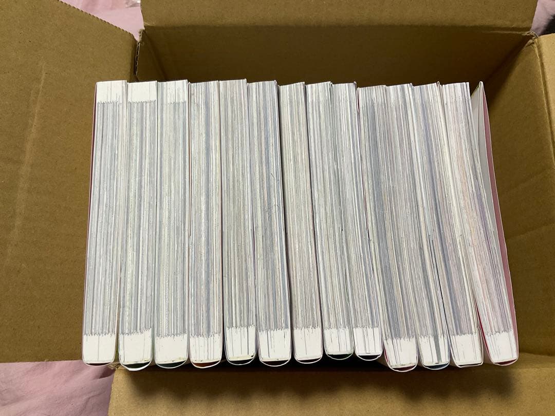 ある日、お姫様になってしまった件にについて　全巻セット 1-13巻