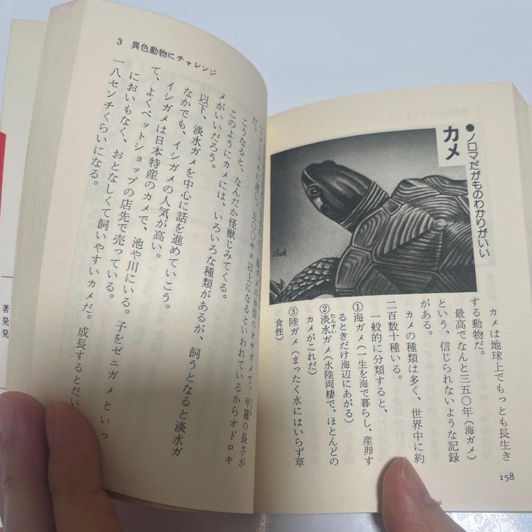 ペットの調教法 【ワニの豆本】
