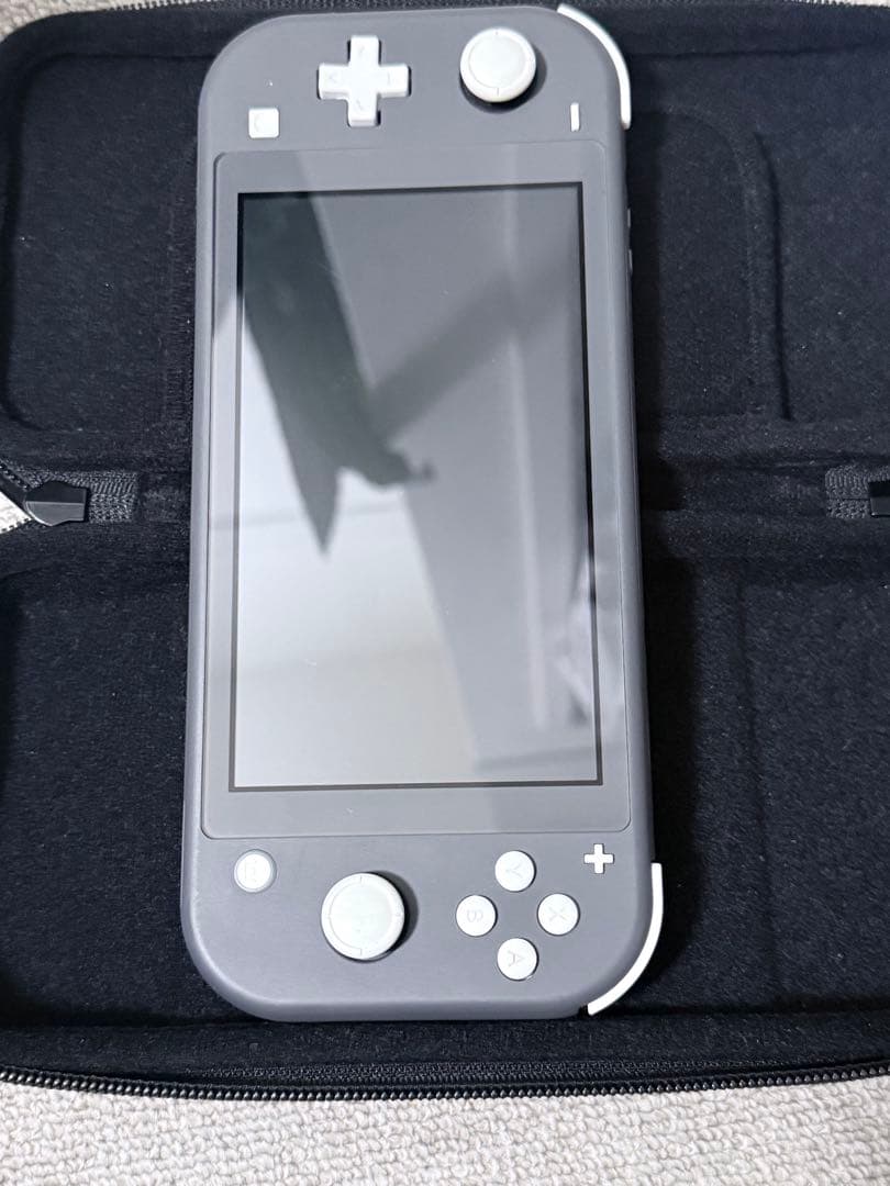 NintendoSwitch ライトグレー ソフト付き