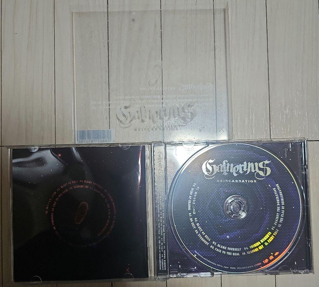 GALNERYUS/CD10枚　DVD3枚(ワンオーナー品)