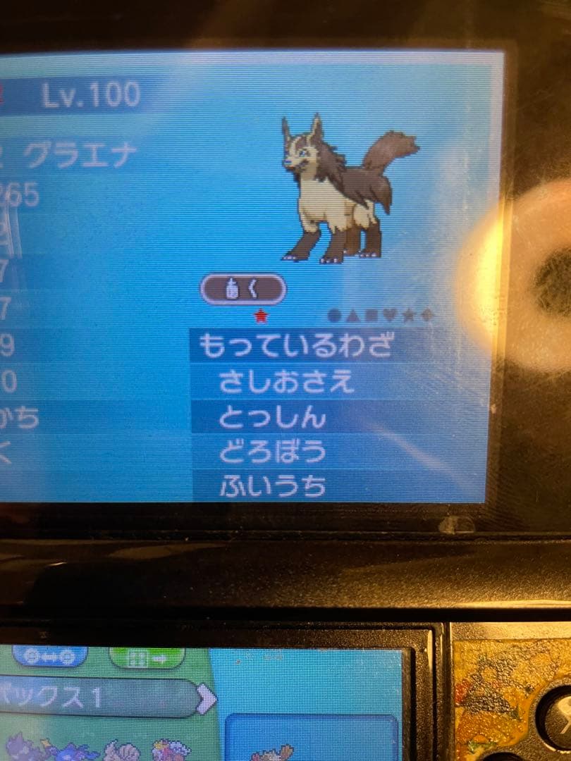 ポケットモンスターy ポケモン　色違い伝説、ひかるおまもりあります！
