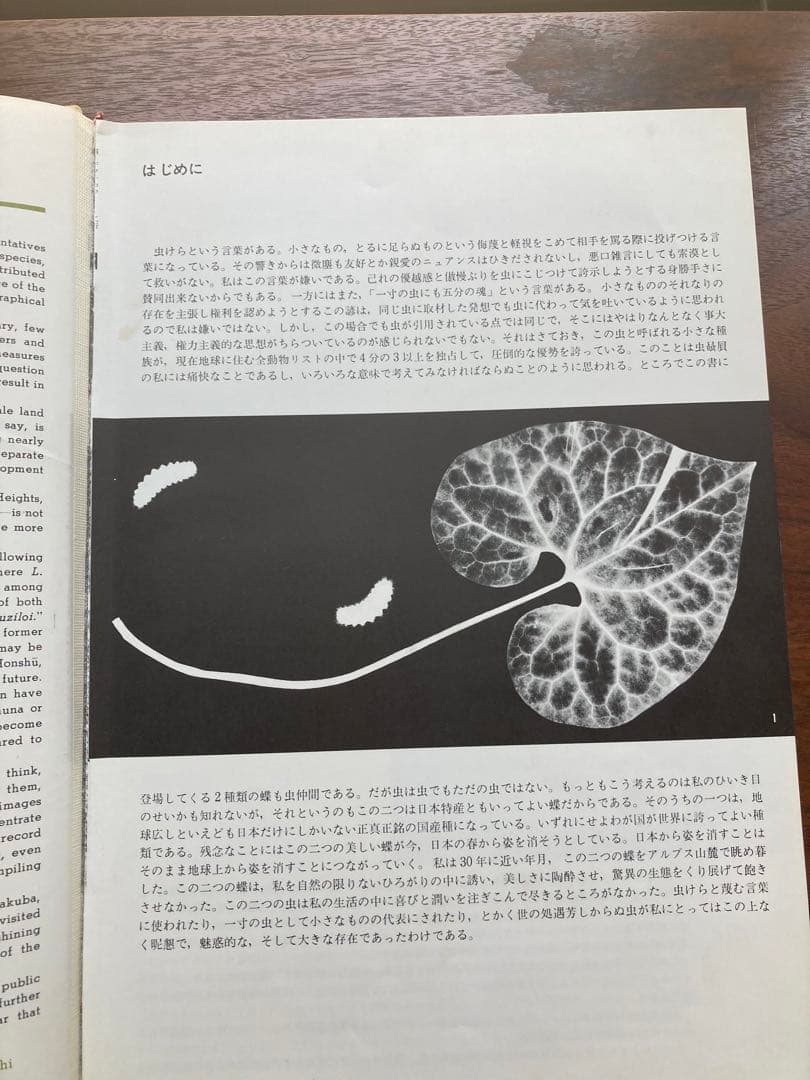 ギフチョウ・ヒメギフチョウ　田淵行男　講談社　生態写真　蝶　写真集