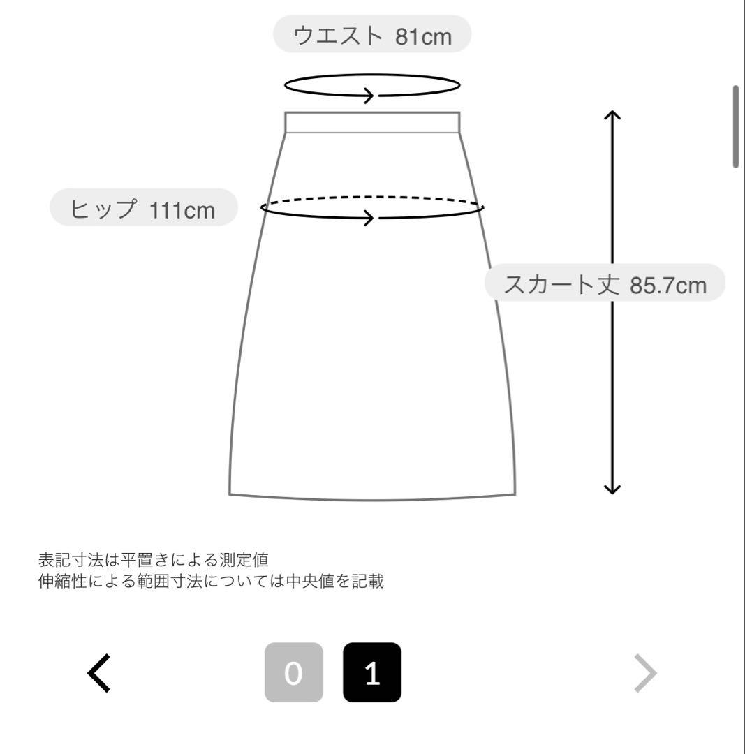 BEARDSLEY バックテールスカート