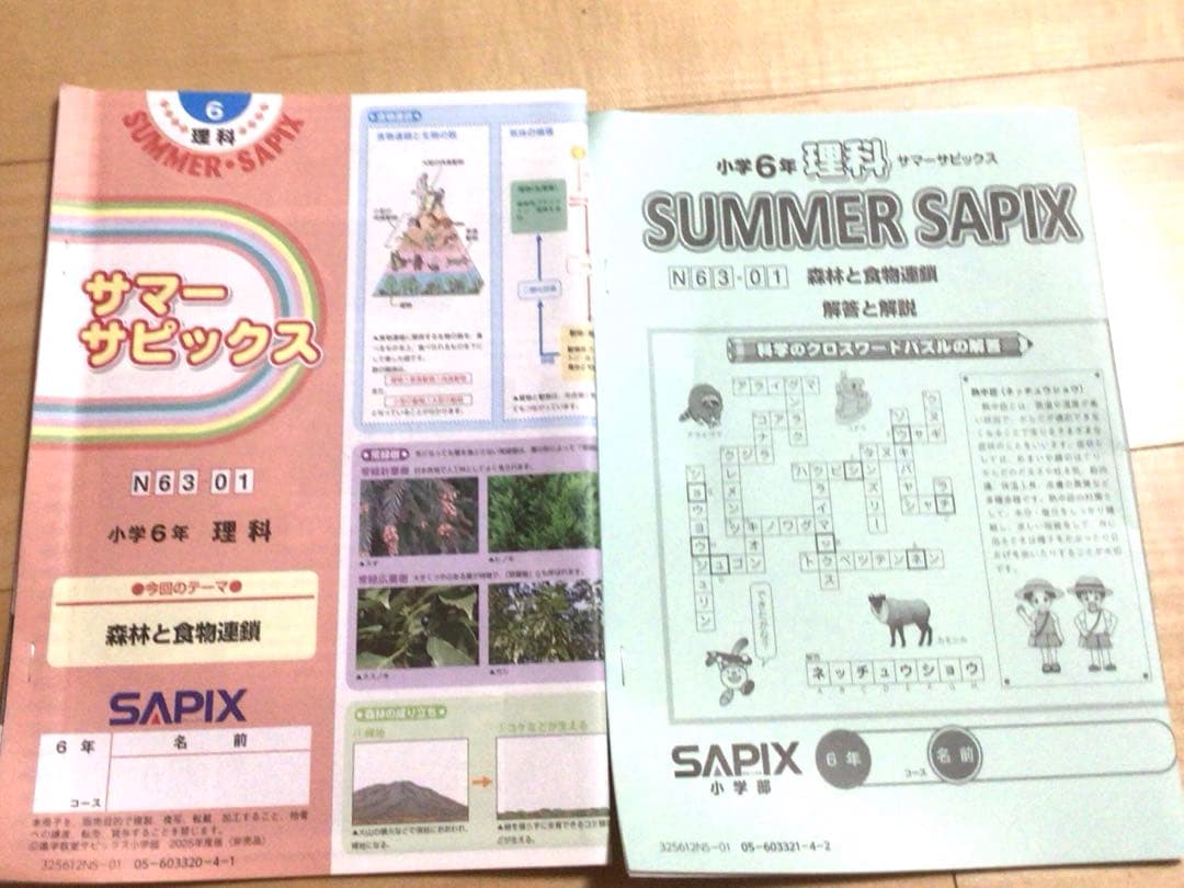 SAPIX6年生サマーサピックス全部