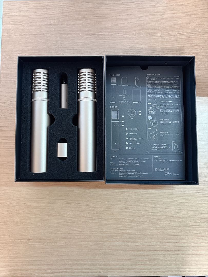 【美品】Aladdin Mic 2 2本セット
