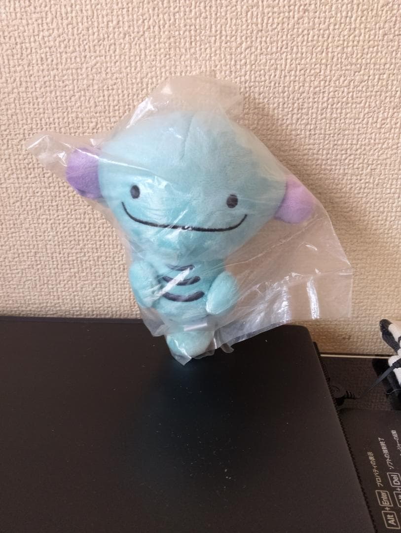 公*o様 ウパー ポケドール （海外製）未開封