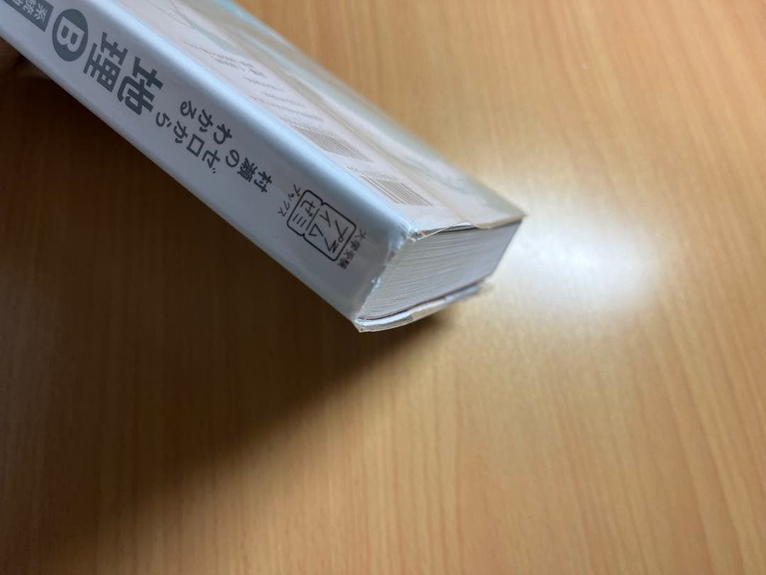 村瀬のゼロからわかる地理B 系統地理編 地誌編 3冊セット 書き込み無し