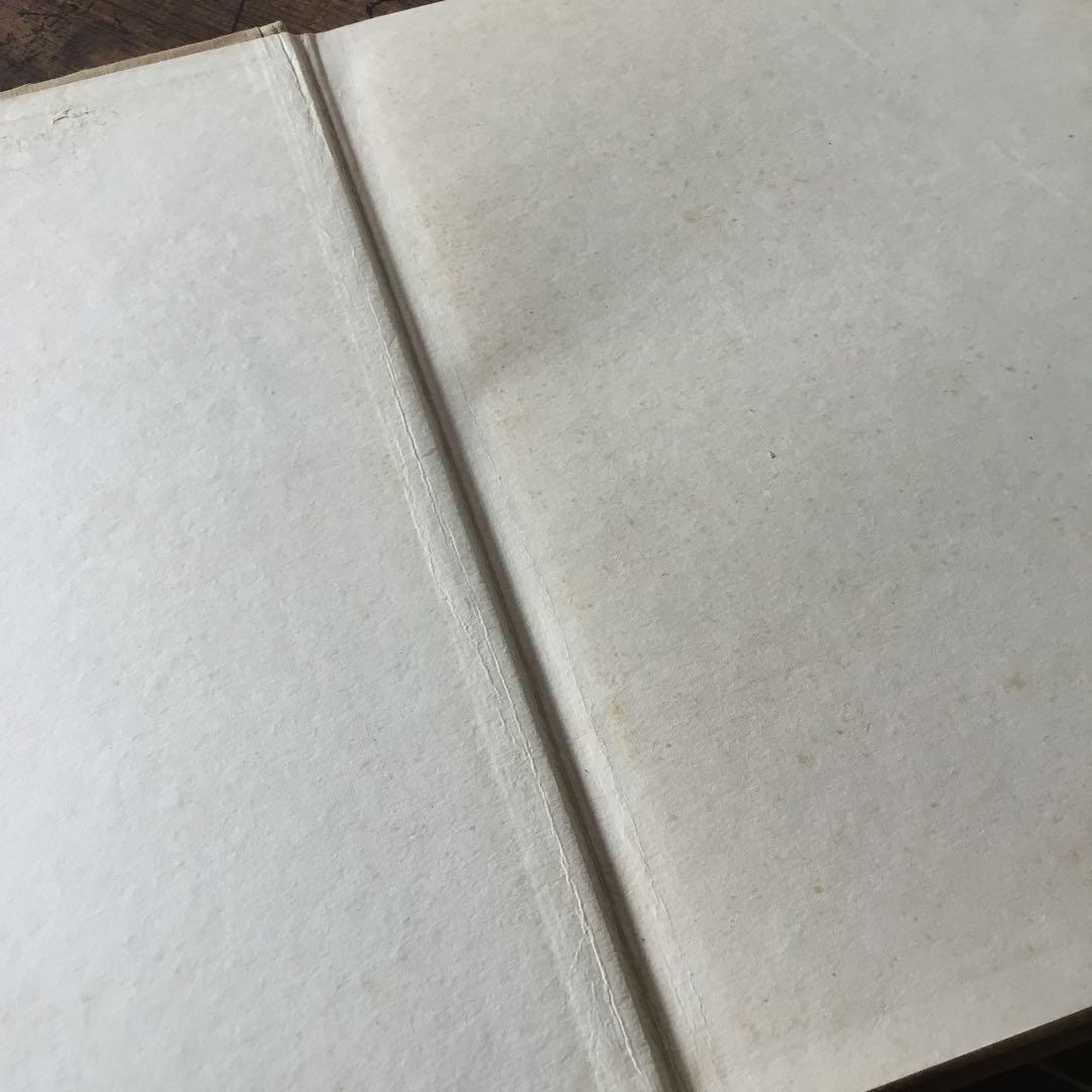 洋書　絵本　ヴィンテージ児童書　イギリス
