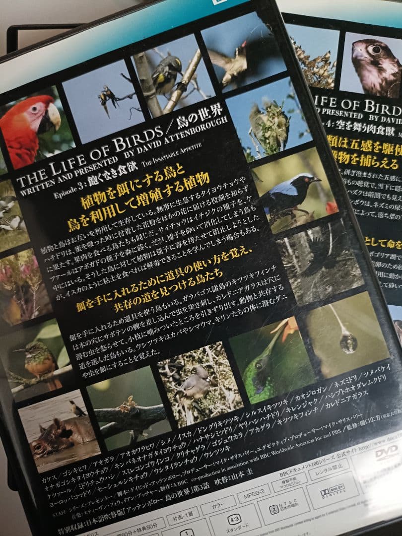 貴重！THE LIFE OF BIRDS 吹替有り セット