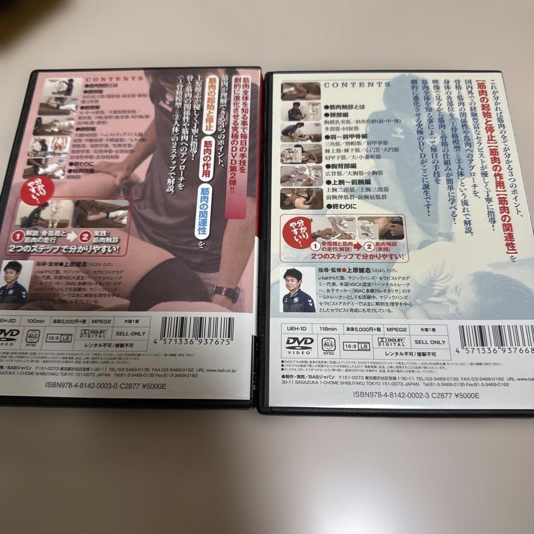 【上原健志ＤＶＤ】筋肉触診バイブル 上半身編・下半身編（上巻・下巻）セット