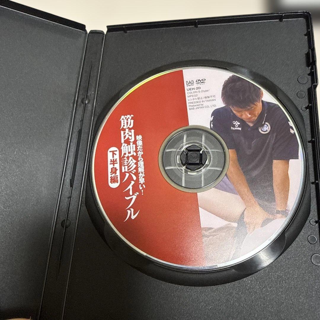 【上原健志ＤＶＤ】筋肉触診バイブル 上半身編・下半身編（上巻・下巻）セット
