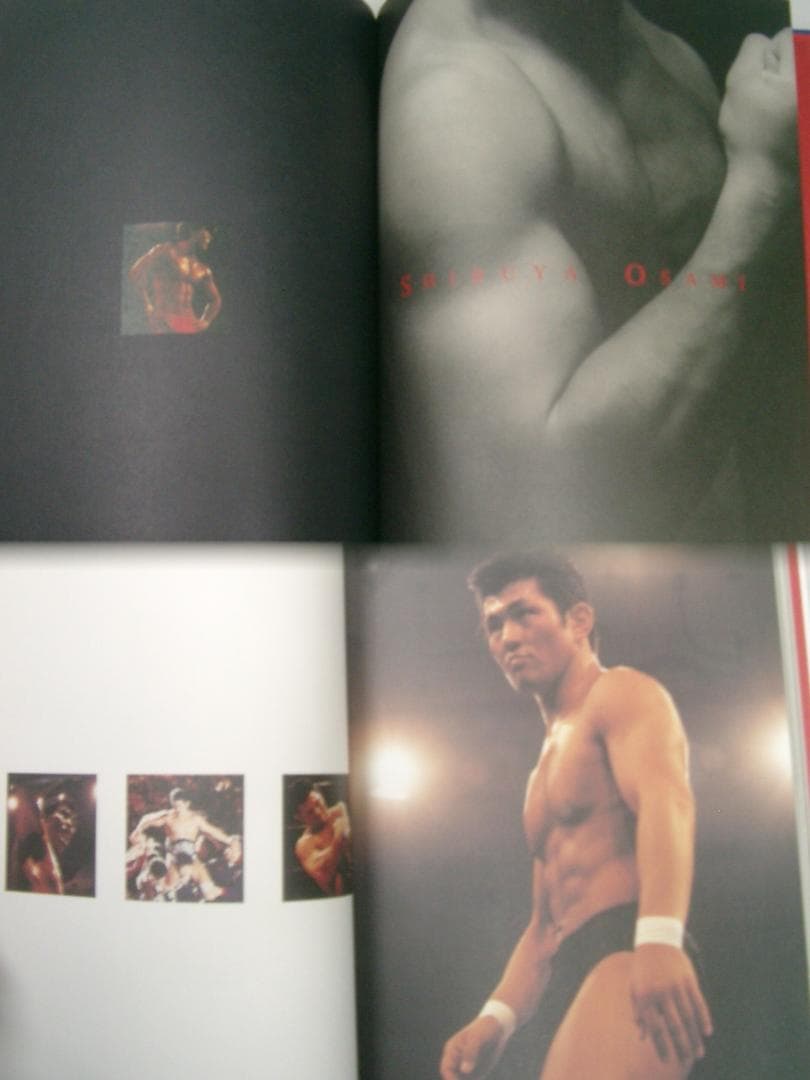 直筆サイン有●PANCRASE オフィシャル写真集 「シード SEED」