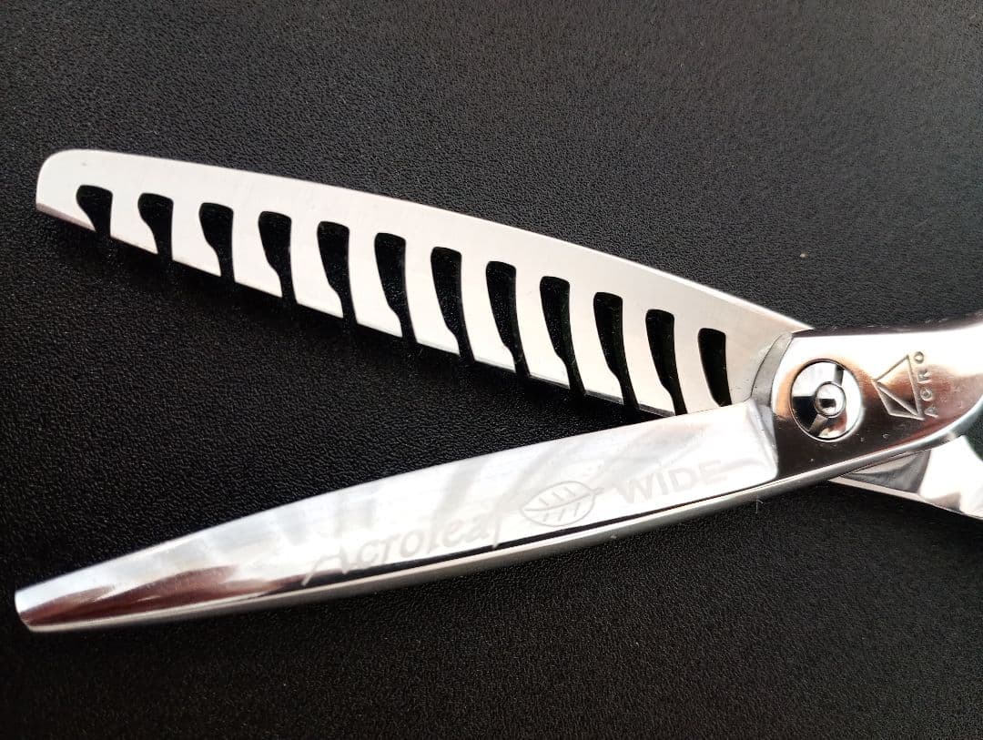 てりやき　ミズタニシザーズ Acroleaf WIDE M-12 セニング