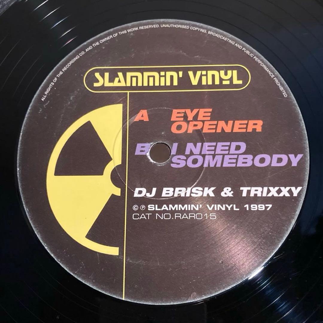 その他 DJ Brisk & Trixxy - Eye Opener / I Need