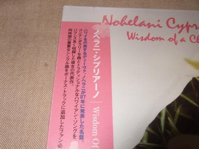 NOHELANI CYPRIANO,新品,ノヘラニ・シプリアーノ,AOR,ハワイ