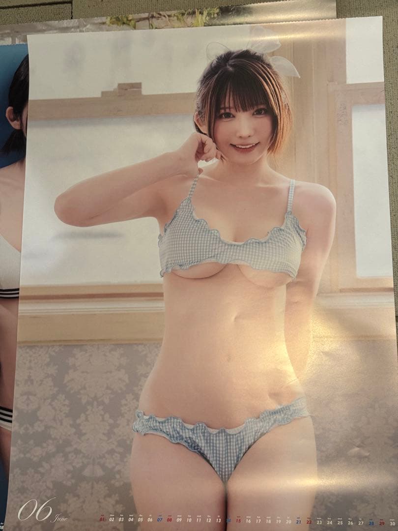 えなこ　ポスター類　まとめ売り　16枚