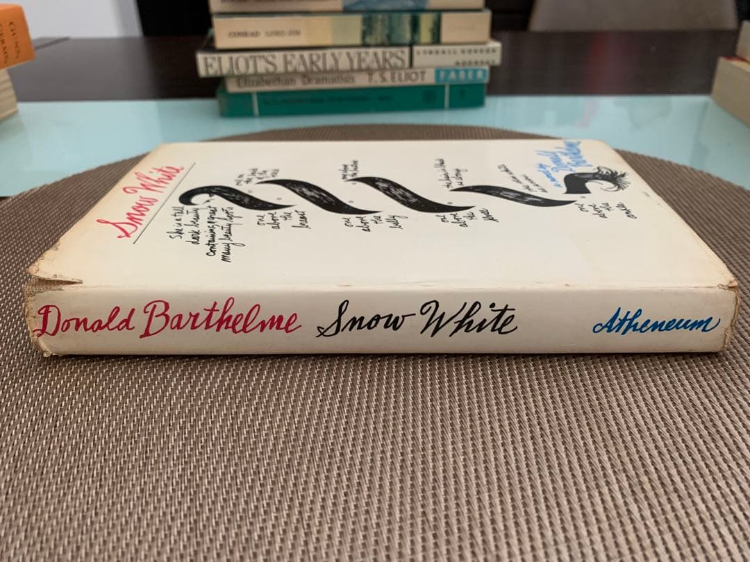 希少　Donald Barthelme  White