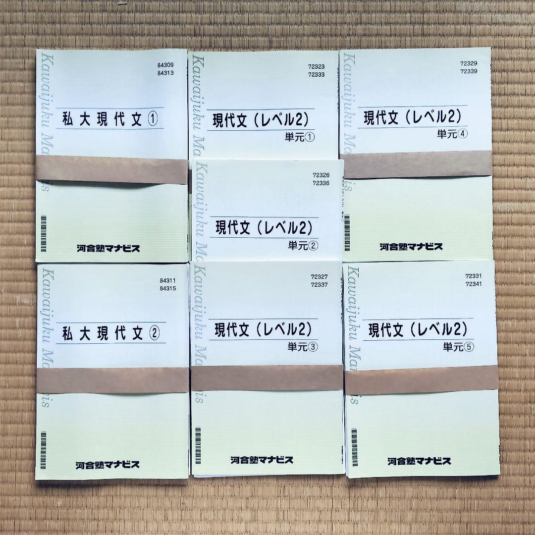 河合塾マナビステキストとプリントのまとめ　英語・現代文・生物　説明・問題収録