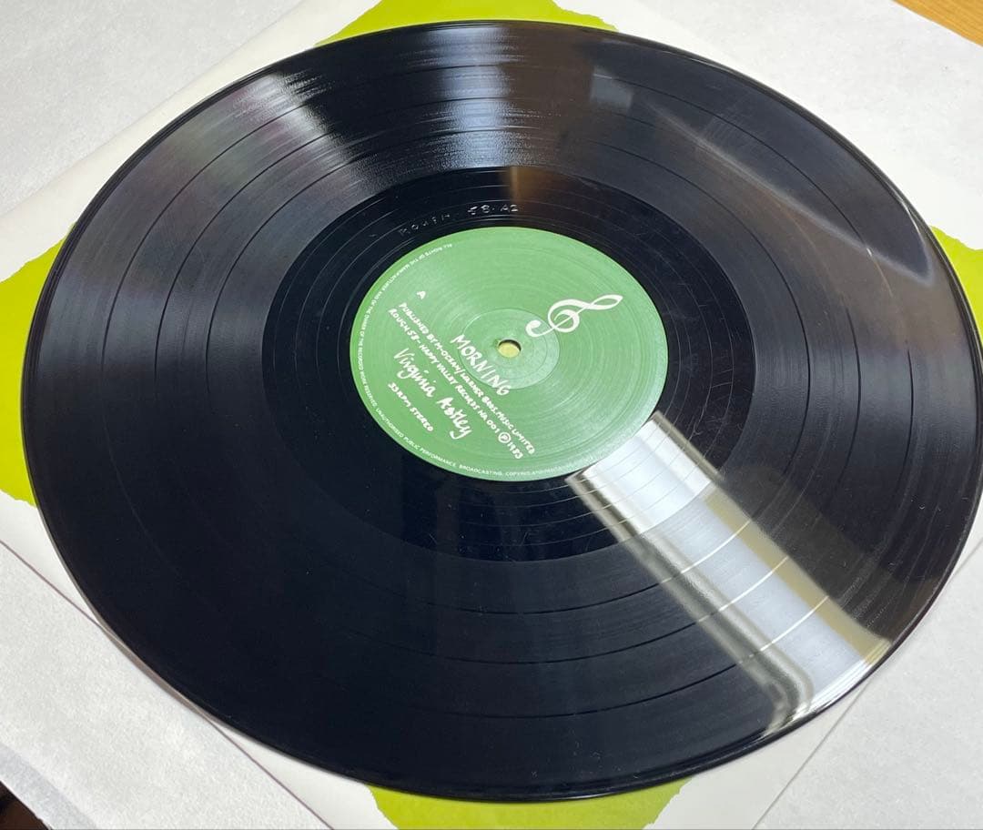 美品LP From Gardens Where We Feel Secure