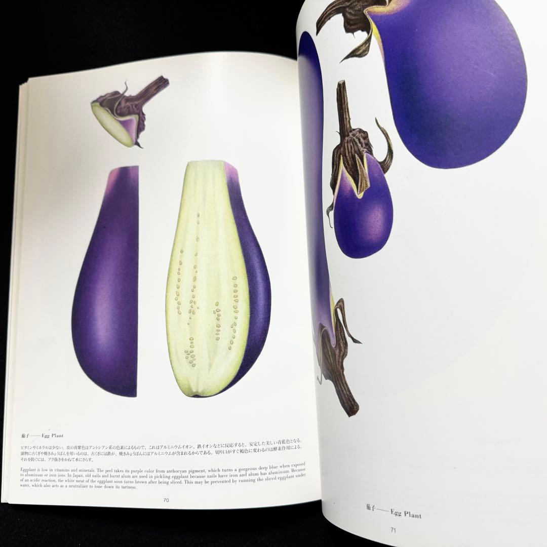 【絶版】大橋正 作品集「VEGETABLES ヴェジタブル・イラストレーション」